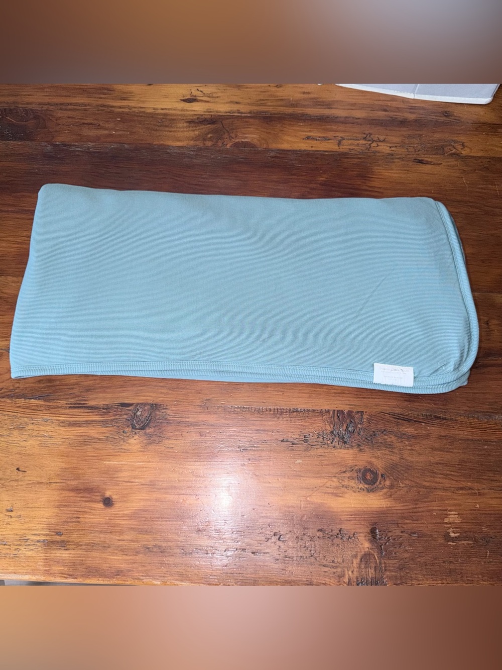 Brave Little Ones | Toddler Blanket | Glacier Blue